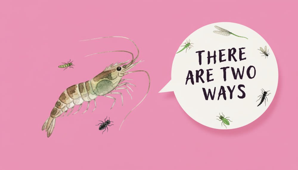Generated: the shrimp pop-up